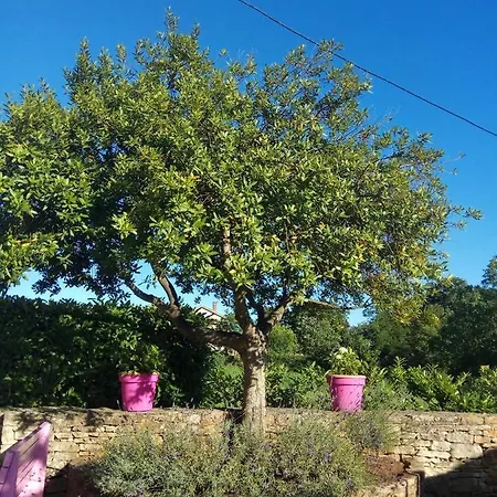 Villa Stone House In Istria *